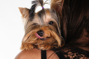 portrait of happy woman with a dog