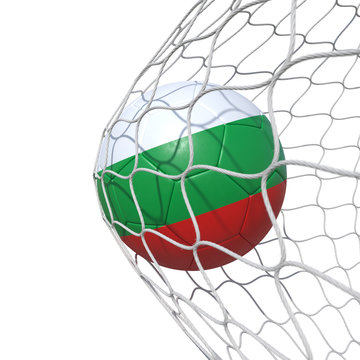 Bulgaria Bulgarian flag soccer ball inside the net, in a net.
