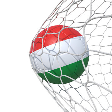 Hungary Hungarian flag soccer ball inside the net, in a net.