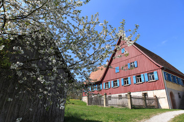 Altes Bauernhaus mit blühendem Apfelbaum
