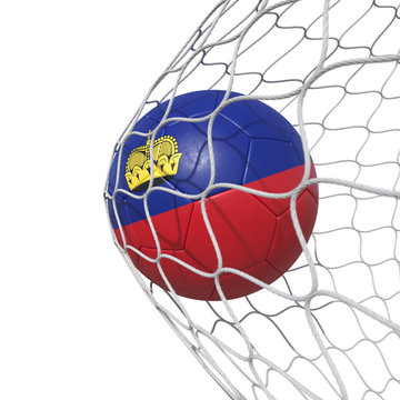 Liechtenstein flag soccer ball inside the net, in a net.