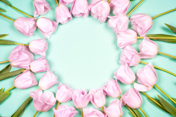 spring flowers banner - bunch of pink tulip flowers on blue sky background.