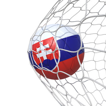 Slovakia Slovakian flag soccer ball inside the net, in a net.