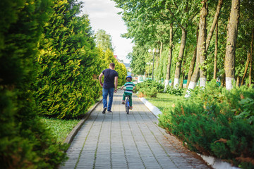 Fototapeta na wymiar Father help son to ride bicycle in summer park. Back view