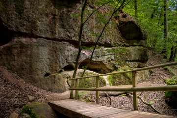 Wald