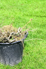 poubelle de déchets vert,branches et feuilles de jardin
