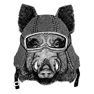 Hog, wild boar with motorcycle helmet. Vintage motorcycle headdress. Illustration for children, kindergarten kids. Print for children shirt, clothing, tattoo, emblem, badge, logo, patch, t-shirt