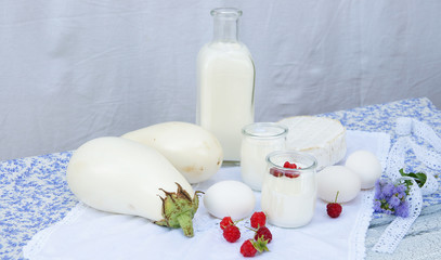 white still life with milk , eggs