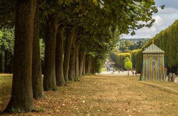 Alley of trees in Versailles Park