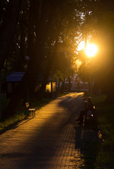 A cobblestone path in the park at sunset / dawn