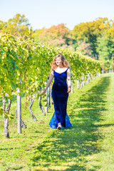 Elegant young woman in blue velvet dress by vineyard winery grapevine leaves green in Virginia...
