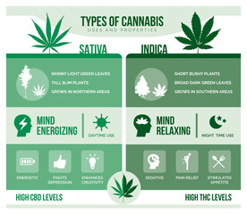 Cannabis sativa and cannabis indica health benefits