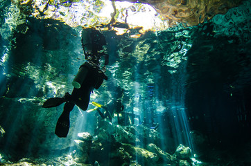 Yucatan cenotes, Mexico.