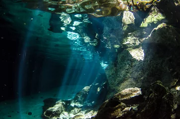 Yucatan cenotes, Mexico. © leonardogonzalez