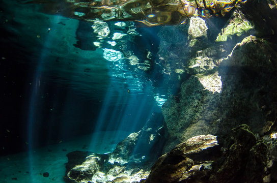 Yucatan cenotes, Mexico.