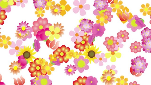 Anima&ccedil;&atilde;o com flores que formam um cora&ccedil;&atilde;o