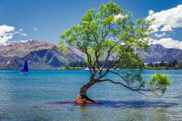 New Zealand view