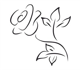 Rose drawing
