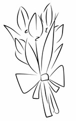 Tulips drawing