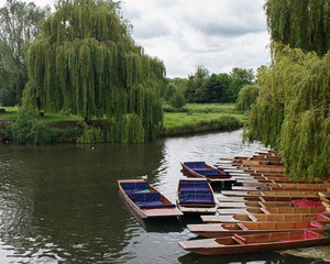 Cambridge punts await rowers on the River Thames, Cambrdige, England