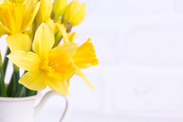 Jar with narcissuses at the white background. Spring, mothers day and easter concept