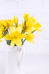 Jar with narcissuses at the white background. Spring, mothers day and easter concept