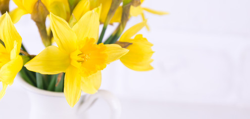 Jar with narcissuses at the white background. Spring, mothers day and easter concept