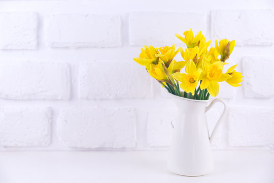 Jar with narcissuses at the white background. Spring, mothers day and easter concept