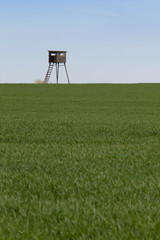 Sitting hide-and-seek for hunters in field for game hunting in nature.