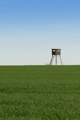 Sitting hide-and-seek for hunters in field for game hunting in nature.