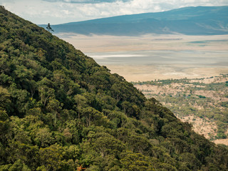 Fototapeta na wymiar Ngorongoro Crater Conservation Area jungle hill