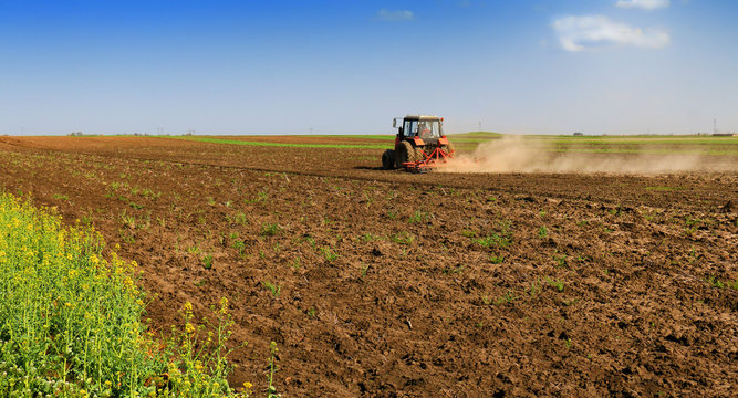 Tractor fertilize field before seeding