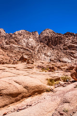 Fototapeta na wymiar Rocks in desert on Sinai peninsula