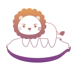cute lion on the grass over white background, colorful design. vector illustration