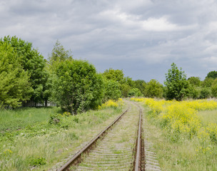 Fototapeta na wymiar Railway track among trees