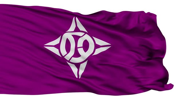 Itabashi flag, Tokyo prefecture, realistic animation isolated on white seamless loop - 10 seconds long (alpha channel is included)