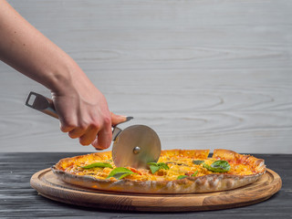 Steel pazza cutter. cutting tasty italian dish on wooden stand isolated. woman's hand with a knife cut the pizza on white background close-up