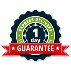 One Day Express Delivery illustration