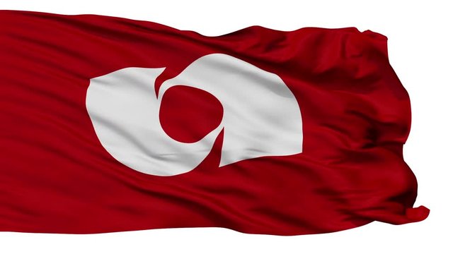 Iwaki flag, Fukushima prefecture, realistic animation isolated on white seamless loop - 10 seconds long (alpha channel is included)