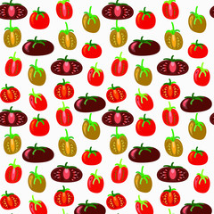 Colorful seamless texture with tomatoes of different colors and varieties on white background. Endless pattern for design market, packaging.
