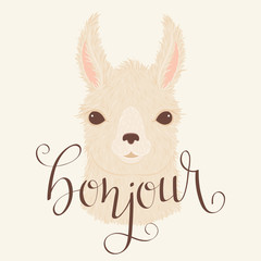 Llama vector illustration