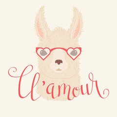 Llama in heart shaped glasses vector illustration