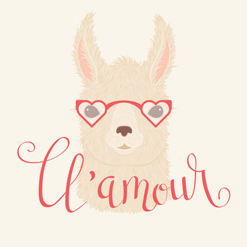Llama in heart shaped glasses vector illustration