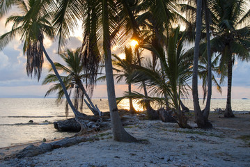 Isla, paraíso, edén, puesta de sol palmeras, Guna Yala, Kuna Yala, San Blas, Panamá, Caribe