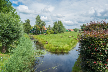 Fototapeta na wymiar Dutch village