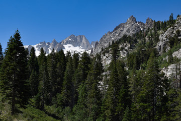 Fototapeta premium snow capped mountains, peak, mountain, forest