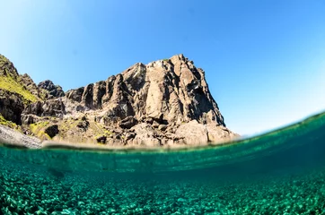 Coral reef scenics of the Sea of Cortez, Baja California Sur, Mexico.  © leonardogonzalez