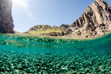 Coral reef scenics of the Sea of Cortez, Baja California Sur, Mexico.  © leonardogonzalez