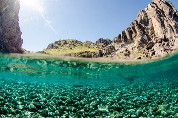 Coral reef scenics of the Sea of Cortez, Baja California Sur, Mexico.  © leonardogonzalez