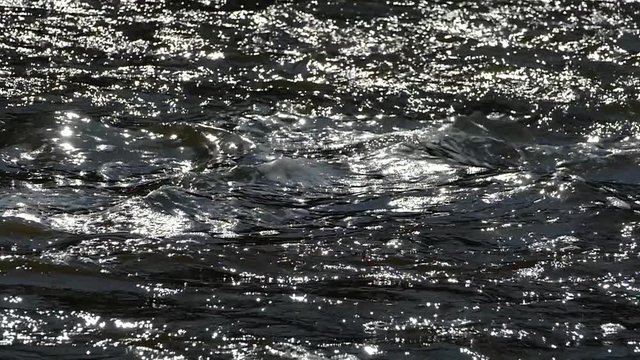 Flood of water floods. Burly and flowing muddy water. Spring flood.